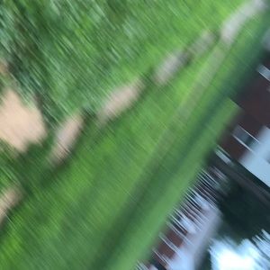 Meet your Posher, Shamier